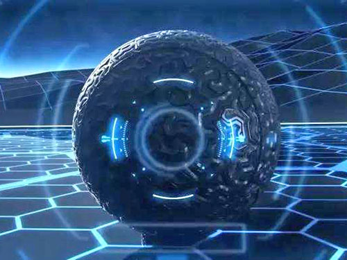 成都雅乐鲜生物科技有限公司|雅乐鲜|成都雅乐鲜简介